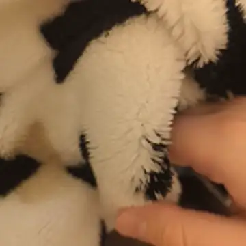 Snapshot of Geilerboy262 chatting on 11.15.25 Geilerboy262 online show from 11.15.25