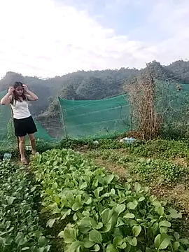 Meomeo-meo online show from 11.21.25