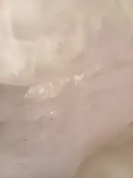 ruiiizz online show from 03.09.26