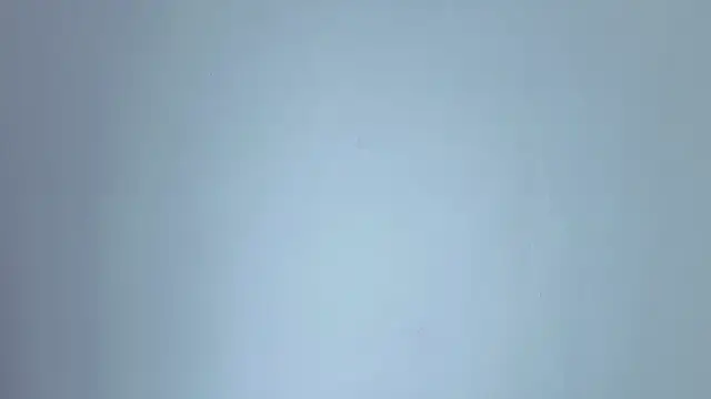 lissastone online show from 11.15.25