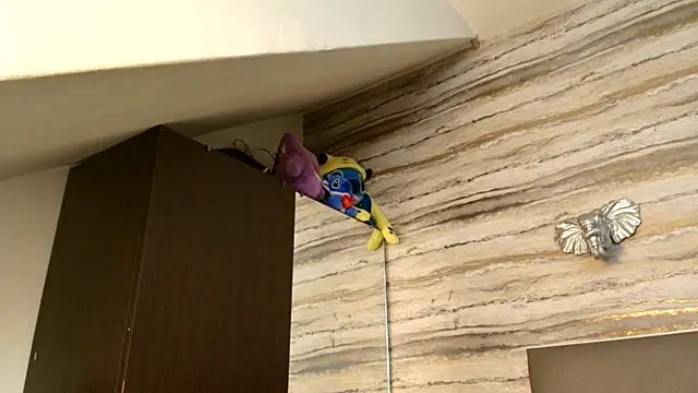 Lovers 21 online show from 01.06.26