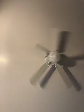 pmonie online show from 11.16.25