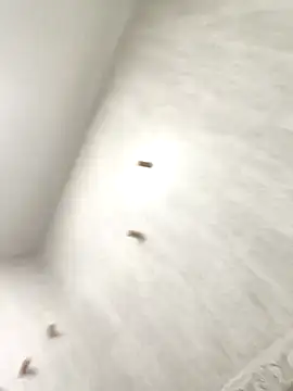 sebas sexo goloso online show from 11.13.25