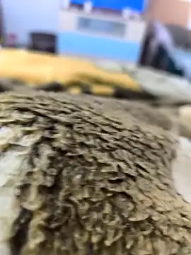 sebas sexo goloso online show from 11.14.25