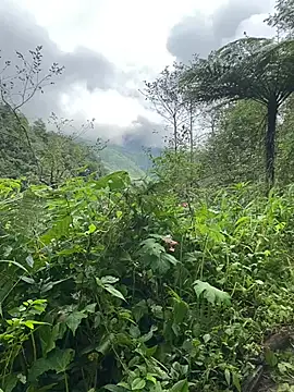 Penny39 online show from 10.09.25