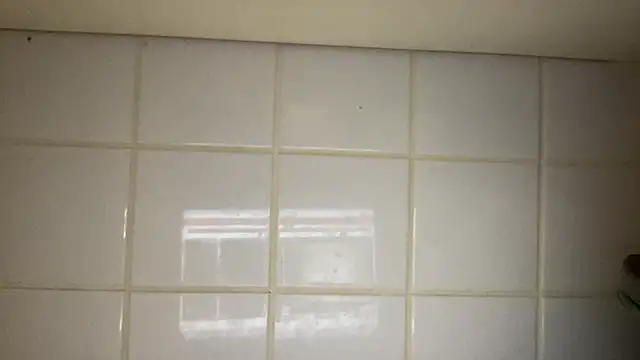 Snapshot of Milysoren chatting on 02.14.26 Milysoren online show from 02.14.26