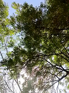 Rs sonam online show from 04.13.26