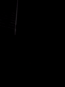 Snapshot of Elchimador44 chatting on 12.02.25 Elchimador44 online show from 12.02.25