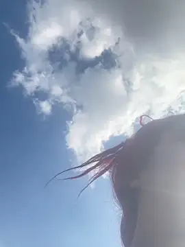 taylor hot85 online show from 03.07.26