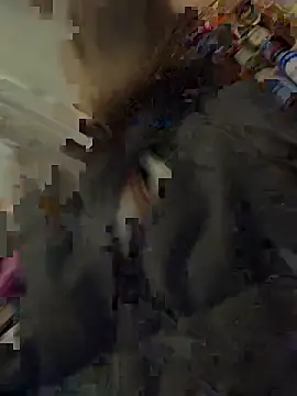 Snapshot of silentasachurchmouse chatting on 12.03.25 silentasachurchmouse online show from 12.03.25