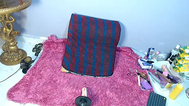 codorniz2025 online show from 04.06.26