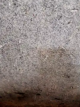 Snapshot of nagepalli chatting on 11.14.25 nagepalli online show from 11.14.25