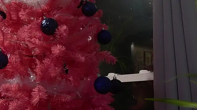 Snapshot of Vox_Personas chatting on 12.18.25 Vox Personas online show from 12.18.25