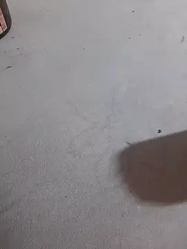 Snapshot of JuDilva8451 chatting on 11.21.25 JuDilva8451 online show from 11.21.25