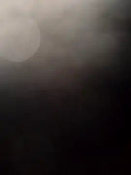 Payarkanasa online show from 11.28.25