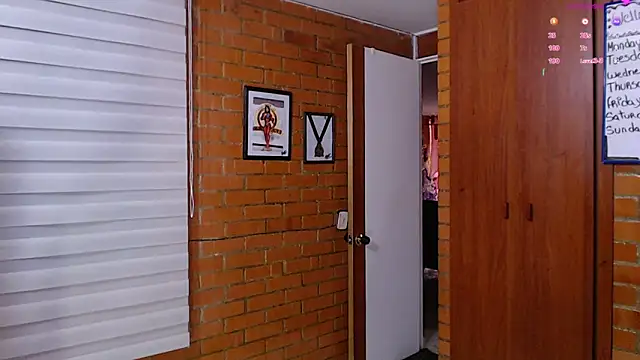 Snapshot of Salome-sw chatting on 02.12.26 Salome-sw online show from 02.12.26