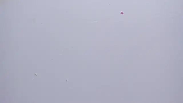 Malory  Jones online show from 01.16.26