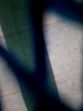 Neilhot98 online show from 11.16.25