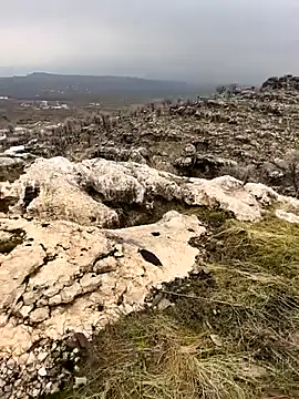 Sert erkek21 ysm online show from 02.02.26