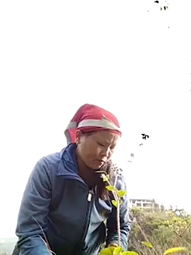 sumaybae online show from 10.28.25