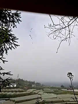 miomio-12 online show from 11.07.25