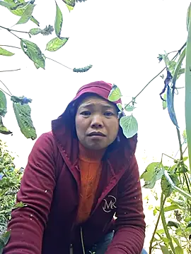 miomio-12 online show from 11.29.25