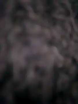 Ripe me online show from 11.10.25