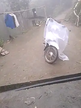 Ripe me online show from 11.12.25