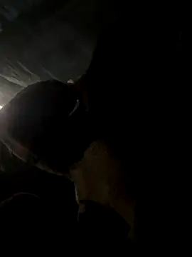 hello-cute online show from 12.20.25