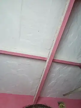 Ut kanchna online show from 11.15.25