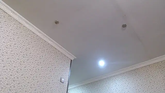 maybe doll online show from 10.21.25