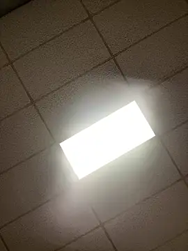 lexuslover687 online show from 04.17.26