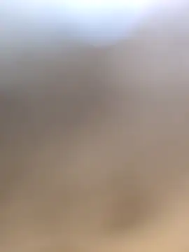 Co punam online show from 02.02.26