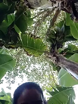 Co punam online show from 04.01.26