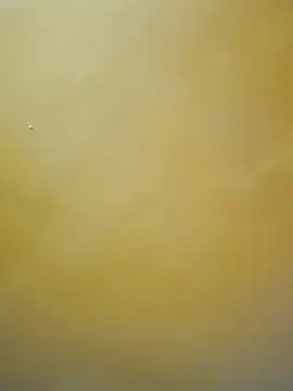 tamil-mala23 online show from 10.18.25