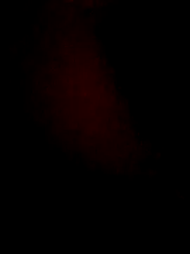 Snapshot of lorina202 chatting on 11.18.25 lorina202 online show from 11.18.25