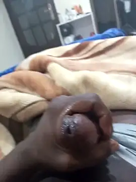 Sahrawi-fhal online show from 02.02.26