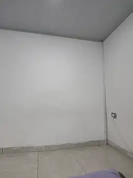 harper ks online show from 02.24.26