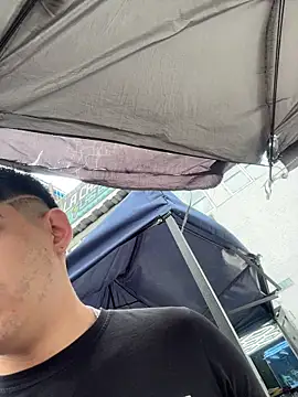 Stick ledom online show from 11.12.25