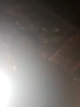 rasmi powar online show from 11.29.25