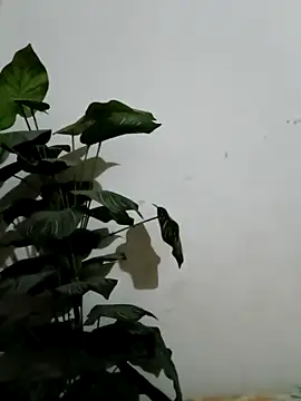 Jessica-03 online show from 03.04.26