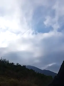 siusiu-00 online show from 11.22.25