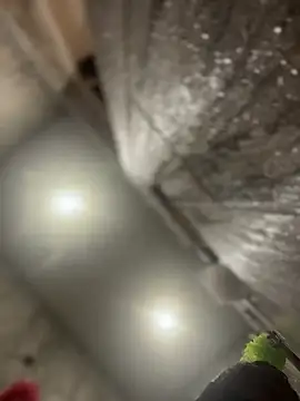 queenkelly1234 online show from 02.16.26