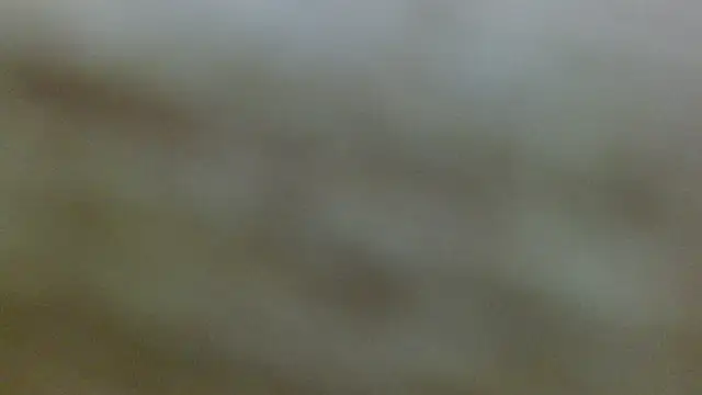 Snapshot of Axel_Stones_ chatting on 11.21.25 Axel Stones online show from 11.21.25