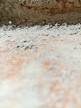 Snapshot of Rajni_chauhan chatting on 11.02.25 Rajni chauhan online show from 11.02.25