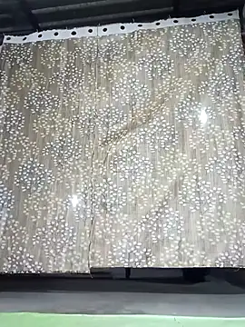 Snapshot of Rajni_chauhan chatting on 11.30.25 Rajni chauhan online show from 11.30.25