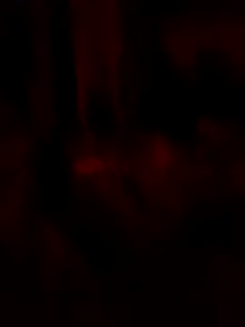 goloso80 online show from 05.22.26