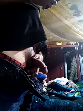 Cogelonregio online show from 03.02.26