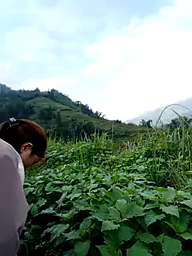 omai-ngot online show from 11.15.25