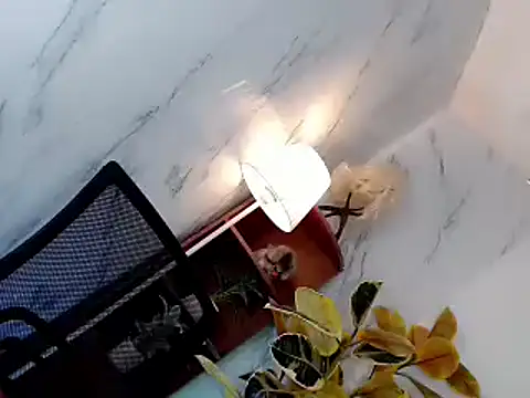 Snapshot of sweet_rose69 chatting on 11.16.25 sweet rose69 online show from 11.16.25